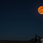 **Embracing Cosmic Wonders: Lunar Eclipse Extravaganza and Beyond**